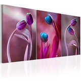  Slika - Tulips in Love 60x30 Cijene