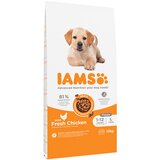 IAMS 10 + 2 gratis! suha pasja hrana 12 kg - Advanced Nutrition Puppy Large s piščancem | Shoptok.si