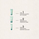 Payot Pâte Grise Masque Purifiant Rééquilibrant maska za čišćenje za masnu kožu 75 ml | shoptok.hr