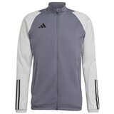 Adidas Tiro 23 Competition Training | shoptok.hr