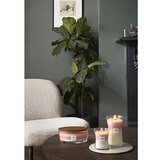 WoodWick Trilogy Blooming Orchard mirisna svijeća 609,5 g | shoptok.hr