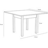Hübsch Jedilna miza v hrastovem dekorju 110x110 cm Geo – | Shoptok.si