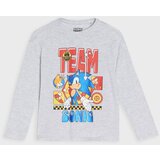 Sinsay Pamučna majica s printom Sonic the Hedgehog | shoptok.hr