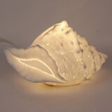 ONLI Stona lampa PORCELLANA 1xE14/6W/230V 29 cm školjke | Eponuda.com