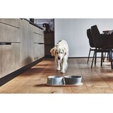 MiaCara Porculanske zdjele za hranu za ljubimce u setu 2 kom ø 21 cm Doppio Concrete M/L – | shoptok.hr
