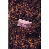 Scottish Fine Soaps Wild Heather čvrsti sapun za čišćenje 220 g Cijene