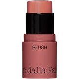 All in One – Blush stick Cijene