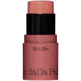 in One – Blush stick