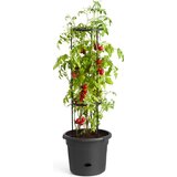ELHO Okrasni lonec green basics za paradižnik 33 cm Cene