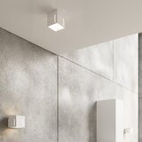 Nice Lamps Bela stenska svetilka Pax – | Shoptok.si