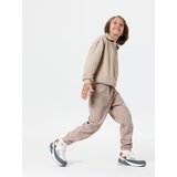 Sinsay Jogger hlače s podstavljanjem | shoptok.hr