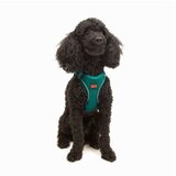 Paws & Whiskers Am za pse Air Mesh Emerald XL | Eponuda.com