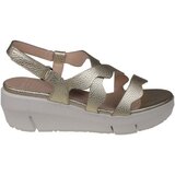 Wonders Max Gold Cijene