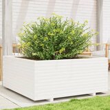 Maison Chic Vrtno cvetlično korito - Cvetlični Lonec belo 110x110x49,5 cm trdna borovina, (21789147) | Shoptok.si