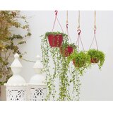 Artevasi Plastičen cvetlični lonec ø 31 cm Algarve – | Shoptok.si