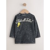 Next Majica 'Looney Tunes' temno siva / zelena / rdeča / bela | Shoptok.si