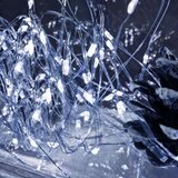  LED lampice na baterije, 10 LED dioda | shoptok.hr