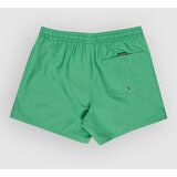 Quiksilver Everyday Deluxe Volley 15 Boardshorts leprechaun | Shoptok.si