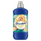 Coccolino Water lily&grapefruit omekšivač 56 pranja (1,288l) Cene