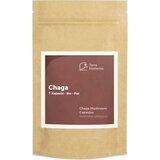 BIO Chaga kapsule Cene