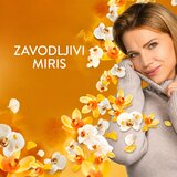 Lenor Gold Orchid omekšivač, 126 pranja, 2,65 l XXL | shoptok.hr
