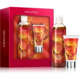 Organique Gift Set Spicy Delight božični darilni set za roke in telo Cene