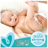 Pampers Fresh Clean XXL vlažni čistilni robčki za otroke za občutljivo kožo 15x80 kos | Shoptok.si