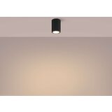  Stropna svetilka KARBON 10 črna, (21626830) | Shoptok.si