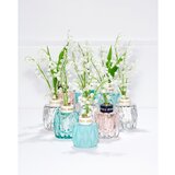 Miu Miu parfemska voda za žene 50 ml | shoptok.hr