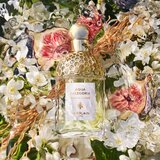 Guerlain Aqua Allegoria Nerolia Vetiver toaletna voda punjiva za žene 125 ml | shoptok.hr