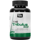 tribulus - 60 kapsula