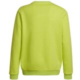 Adidas ENT22 SW TOPY Majica za dječake, svijetlo zelena, veličina | shoptok.hr