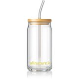 Allnature Glass with Straw čaša sa slamkom 1 kom Cijene