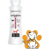 Biogance fresh And Pure Šampon Za Pse, 250ml, Za Masnu Dlaku | ePonuda.com