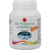 SanaCare Bio Polyporus ekstrakt | shoptok.hr