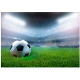  Tapeta - World championship 150x105 | shoptok.hr