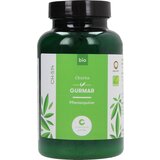 Cosmoveda Gurmar Churna BIO - 100 g | shoptok.hr