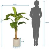 MID.YOU Umetna Rastlina Banana I | Shoptok.si