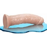 Blush dildo dr.skin self lubricating 8'' | Shoptok.si