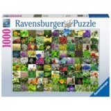 Ravensburger puzzle (slagalice) - 99 biljaka I zacina RA15991 | ePonuda.com
