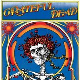 Grateful Dead - (Skull & Roses) (50Th Anniversary Edition 180g Vinyl) (LP) | Shoptok.si