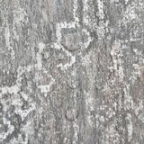  Podne daske 55 pcs Betonsko Siva 5 11 m² PVC - Betonsko siva | shoptok.hr