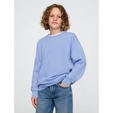 GAP Children's sweatshirt - Boys Cijene