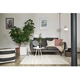 Universal Bež tepih 200x290 cm Dreams Line – | shoptok.hr
