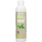 Greenatural šampon s uljem lana i koprivom - 250 ml