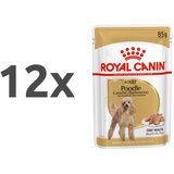 Royal Canin Poodle Adult - kesice za odrasle pudle (12×85g) | Eponuda.com