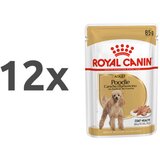 Royal_Canin Adult Poodle - pašteta 12 x 85 g Cene