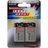 PROFI DEPOT Baterija Profi Depot (9 V Block, alkalno-manganova, 9 V, 2 kosa) Cene