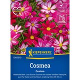 KIEPENKERL Pernatolistna kozmeja - 1 pkt. Cene