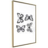  Poster - Butterfly Collection III 40x60 Cijene
